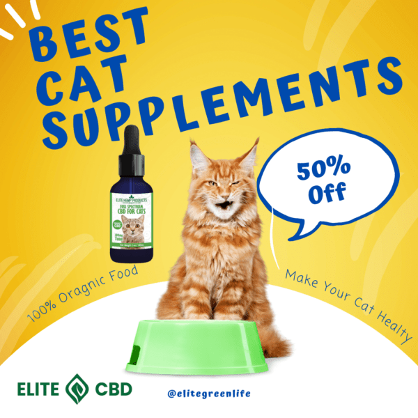 CBD oil for cats, cat supplements, natural pet care, pet health