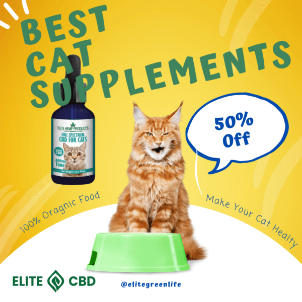 CBD Tincture for Cats 600MG - Image 2